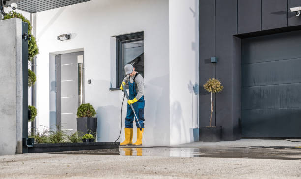 Best Sidewalk and Walkway Cleaning  in Afton, WY